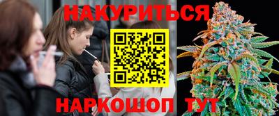 сатива Бузулук