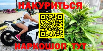 сатива Бузулук