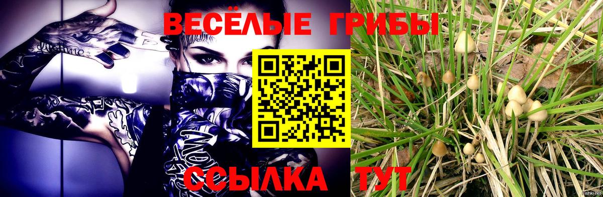 Псилоцибиновые грибы MAGIC MUSHROOMS Саяногорск
