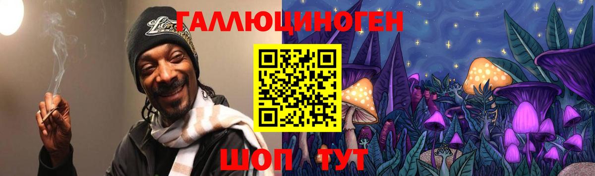 Псилоцибиновые грибы GOLDEN TEACHER  Вход с VPN  Псилоцибиновые грибы GOLDEN TEACHER  Саяногорск 